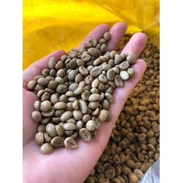Cà phê đặc biệt Honey Robusta Daklak Medium Roast túi 250gr - Moka Cafe | BigBuy360 - bigbuy360.vn