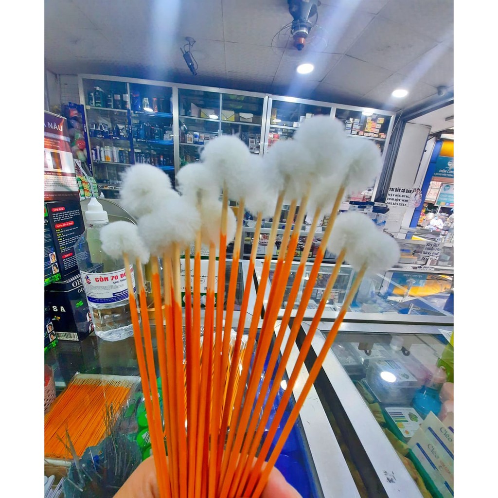 Bông se tai không xù lông 2 cây