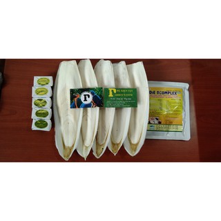 5NAN MỰC TO+ 5 KHOÁNG TONIC + 1 GÓI VITAMIN TỔNG HỢP