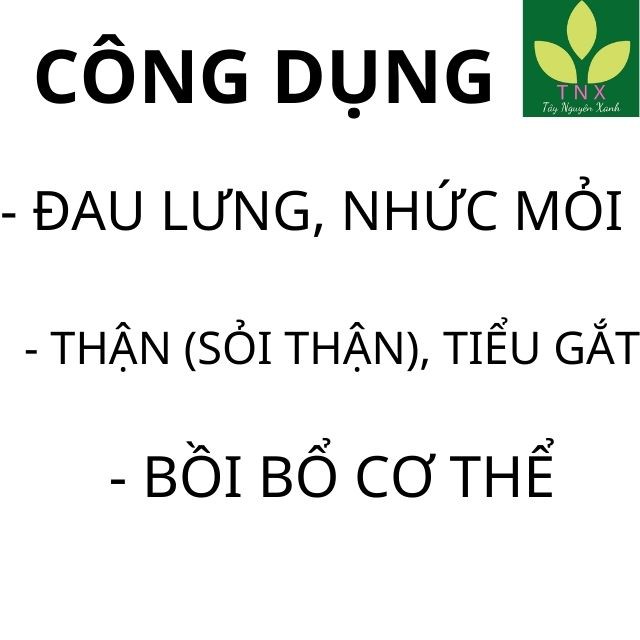 1Kg Chuối Hột Rừng nguyên quả phơi khô, ngâm rượu | BigBuy360 - bigbuy360.vn