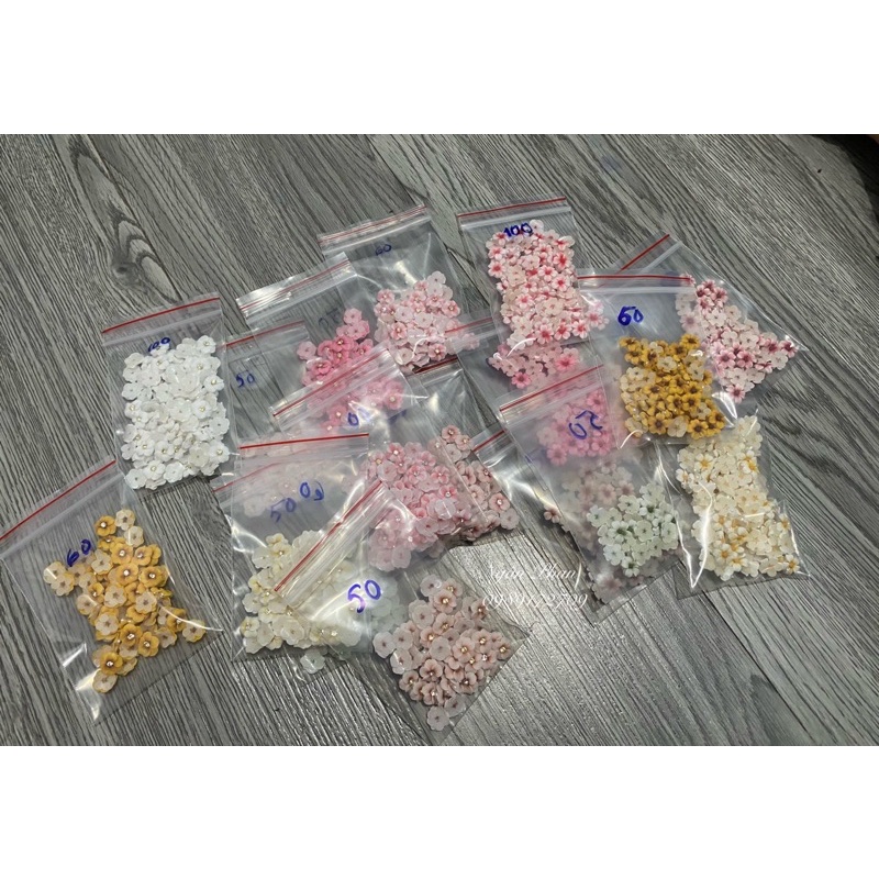 combo sỉ 100hoa đậu (sứ)