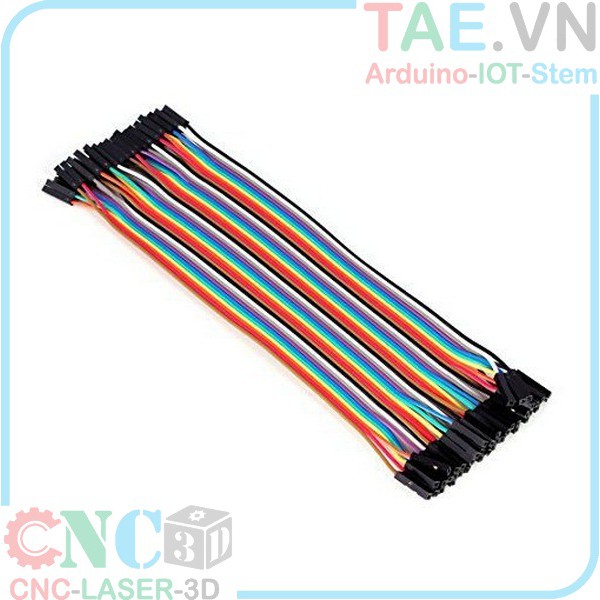 Dây Cắm BreadBoard 20CM 2 Đầu Cái - Cái