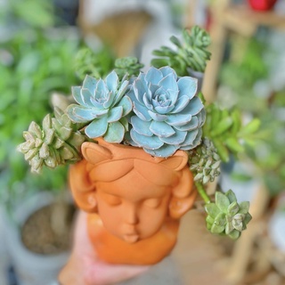 Chậu đất nung bé gái 14*14*19cm