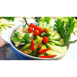 Hạt Giống Bông So Đũa (2g)