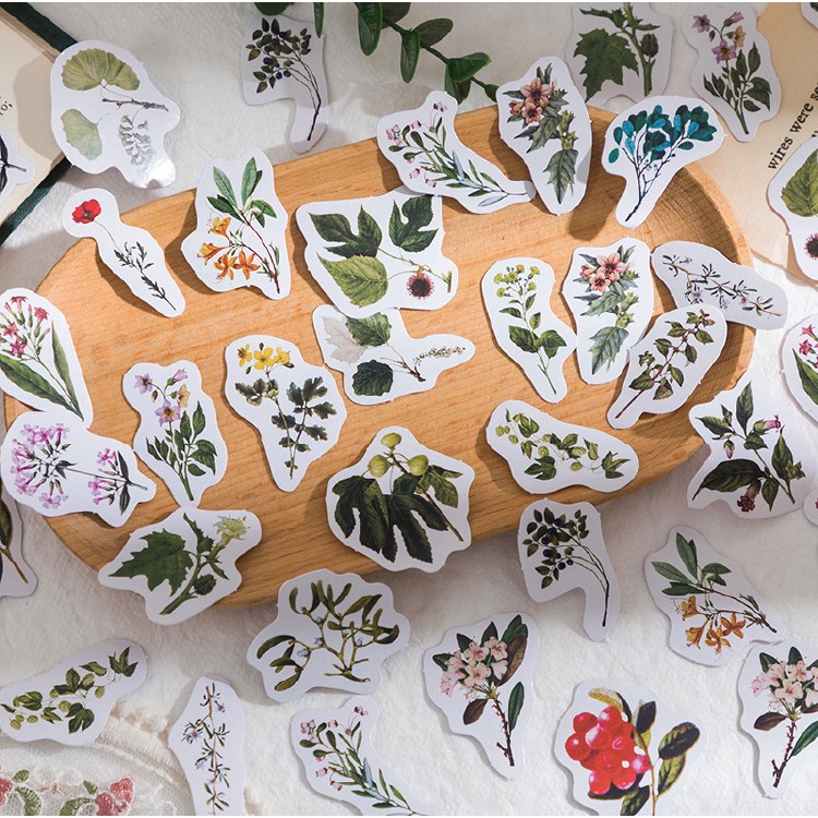 Enjoymore 🌿 Hộp 46 Miếng Dán Viện Thực Vật Vintage Cây Hoa Lá Cỏ Trang Trí Sổ Bullet Journal Hình Dán Sticker Nhãn