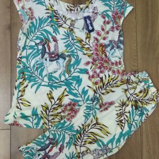 Đồ Bộ Trung Niên U40 up