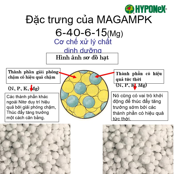 Phân bón MagampK 6-40-6-15 Nhật Bản hạt trắng kích thước 3mm gói 200g