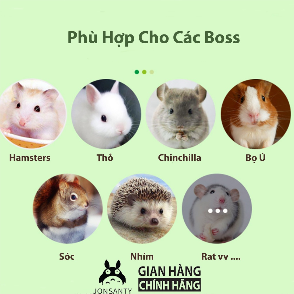 Thức ăn yến mạch trái cây rau củ cho sóc, nhím, chuột hamster, bọ ú,thỏ, chichila hãng JONSANTY hộp 500ML cst018