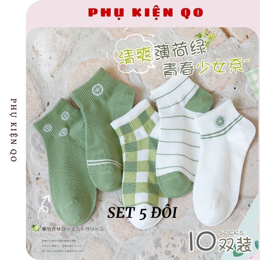 Tất nữ vớ nữ cổ ngắn set 5 đôi họa tiết cute dễ thương phong cách Hàn Quốc kèm túi - VO04