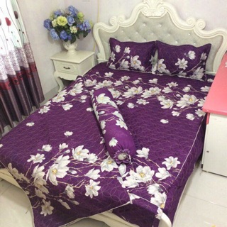 Bộ Ga gối Poly trần bông