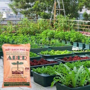 Đất sạch phù sa Aber