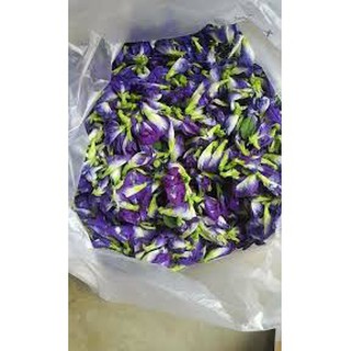 Hạt giống cây đậu biếc ( 20 hạt)