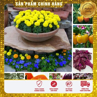 -25k combo 07 gói hạt giống rau + hạt giống hoa