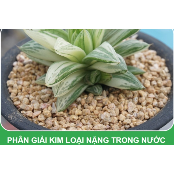 Đá Maifan  size 3-6mm , dùng rải mặt chậu giữ màu sen đá, xương rồng, cung cấp chất khoáng,