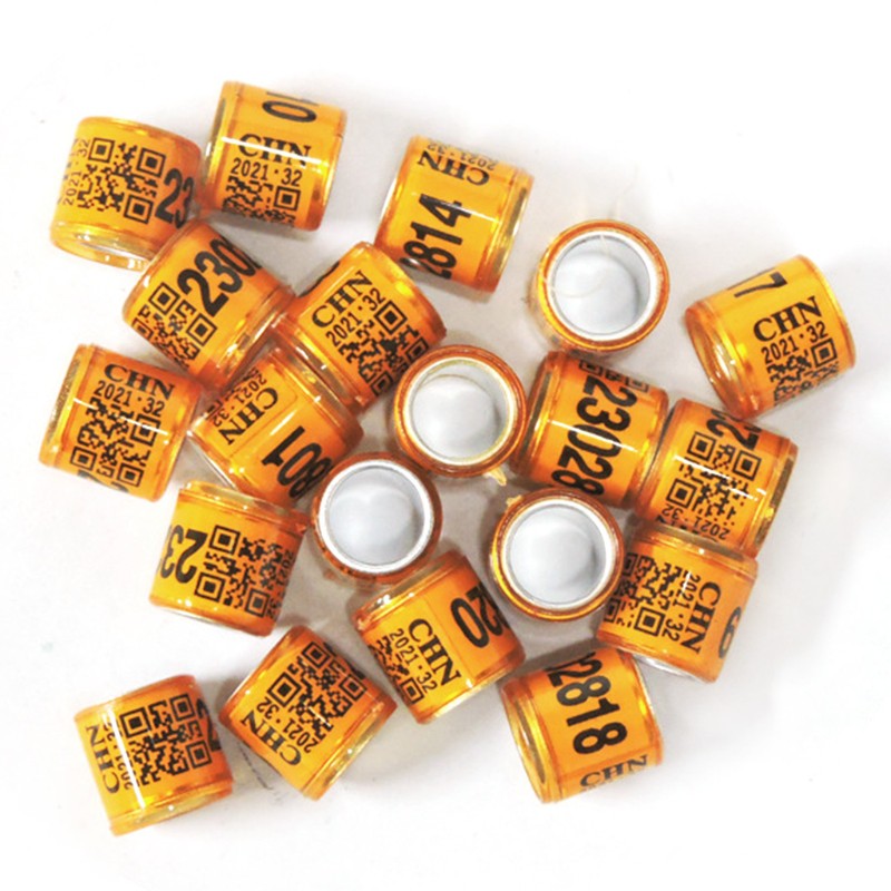 Set 50 Vòng Đeo Chân Chim Bồ Câu Nhiều Màu Sắc Xác Định Tiện Dụng