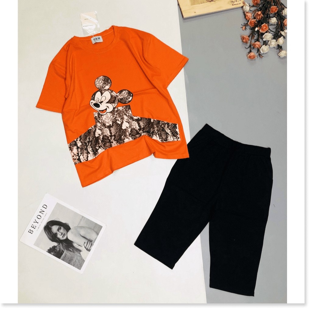 Đồ mặc nhà nữ siêu siêu xinh đẹp , thun cotton cực xịn KOKO MI STORE