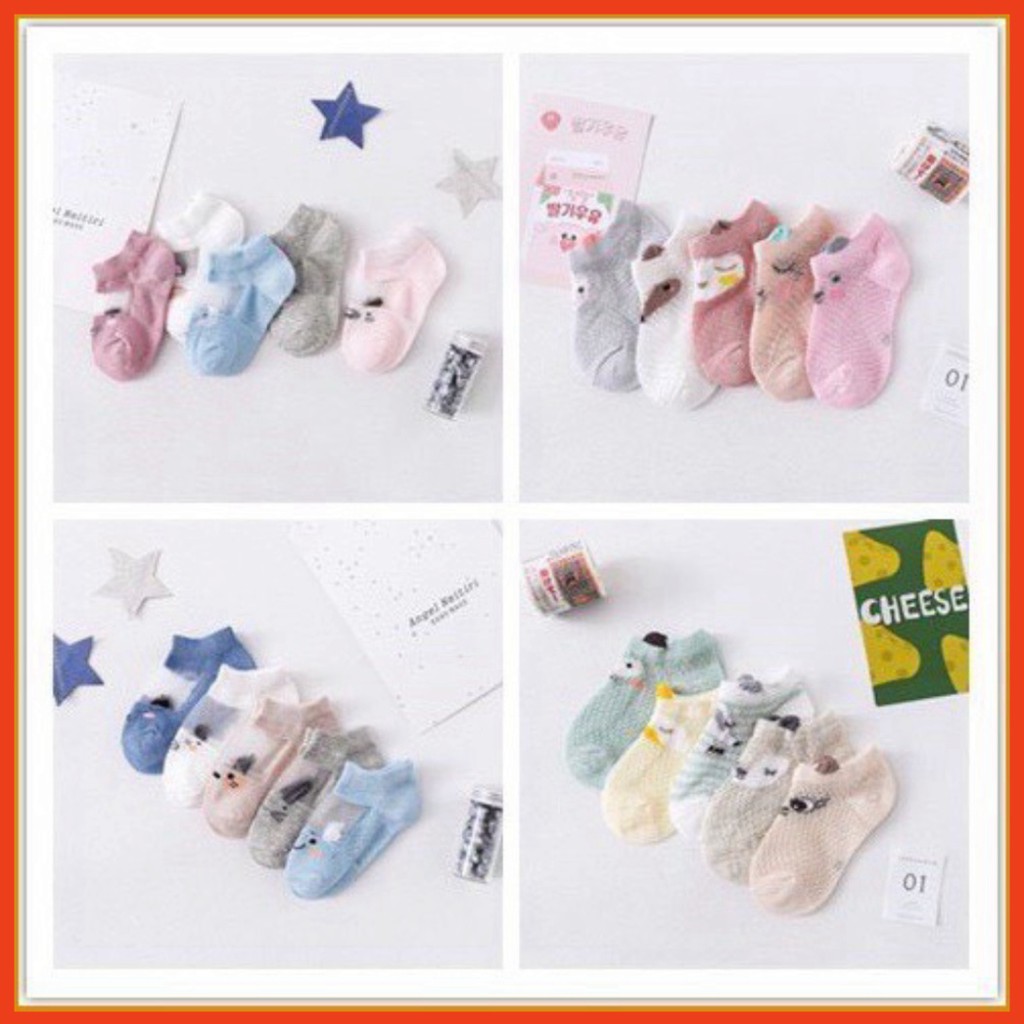 Set 5 Đôi Tất Phối Lưới Xuất Hàn Cho Bé Trai Và Gái Hàng Mẫu Mới HOT 2021 T2