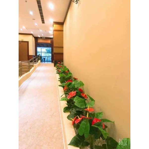 Cây hồng môn sang trọng, cây hoa giả trang trí hàng rào, tường hoa, khuôn viên khách sạn