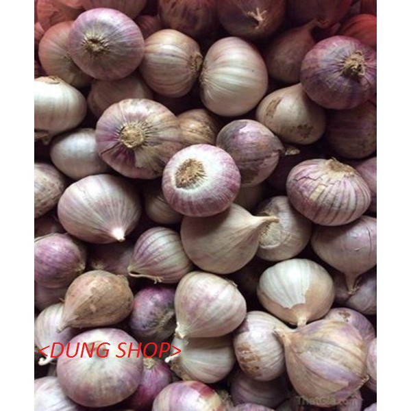 TỎI CÔ ĐƠN 1KG