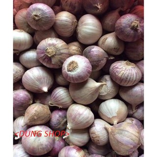 TỎI CÔ ĐƠN 1KG