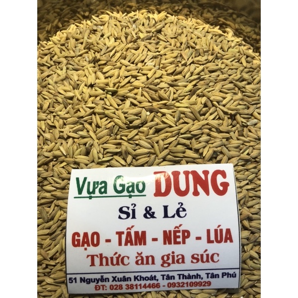 Lúa Tròn Cho Gà 1kg