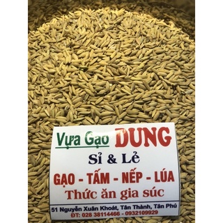 Lúa tròn cho gà 1kg