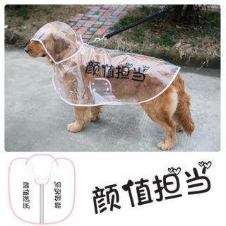 Áo mưa chó lớn