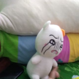 Gấu bông của ngọc huyền đoan