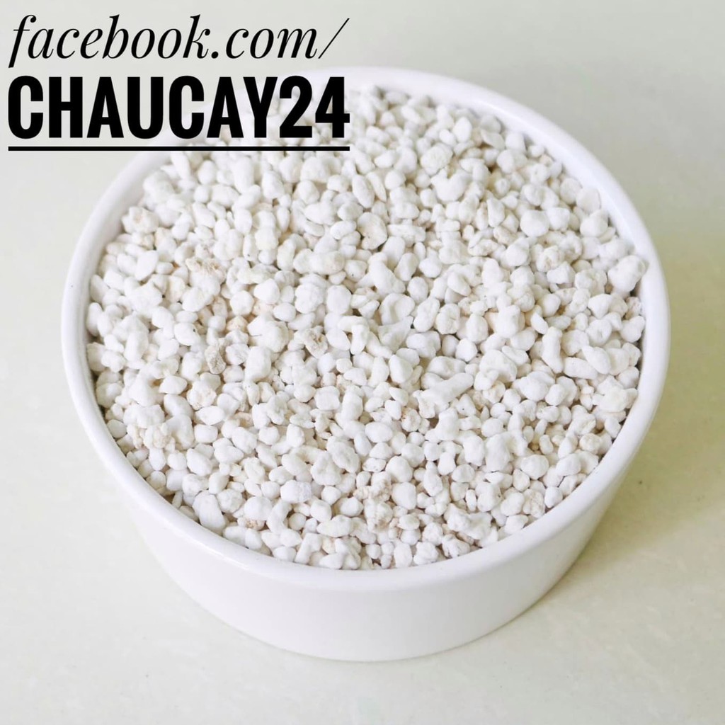 Đá perlite (đá trân châu) - 0.5 KG (6 Lít) trồng cây cảnh để bàn, trồng rau, giá thể trộn đất trồng sen đá, xương rồng