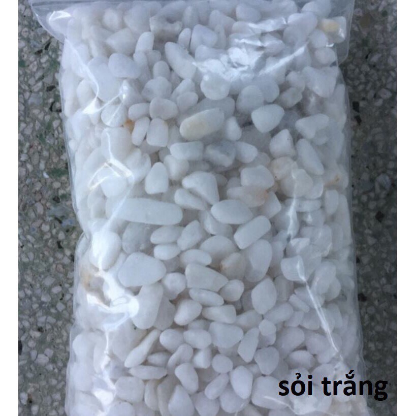 đá trắng trang trí gốc cây, bể cá