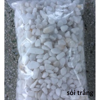 đá trắng trang trí gốc cây, bể cá