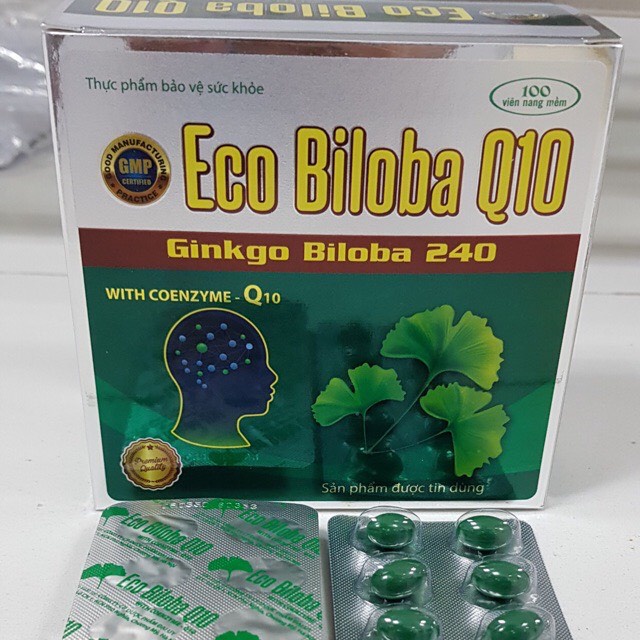 Bổ não HOẠT HUYẾT DƯỠNG NÃO Eco biloba Q10 - Ginkgo Biloba 240 - Cải thiện trí nhớ, tăng cường lưu thông máu lên não