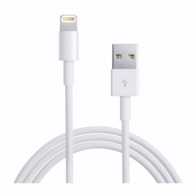 Cap sạc Lightning iphone 5 - 11 pro max