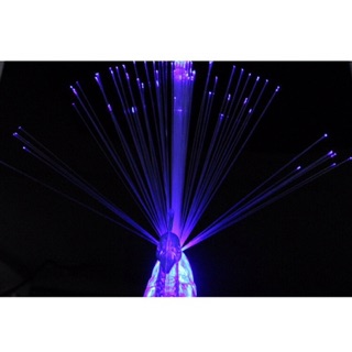 Đồ chơi chim công cho bé - muasam3s