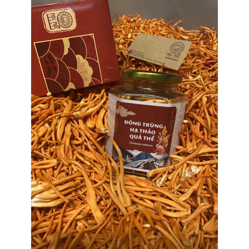 (25gr) Đông trùng hạ thảo khô sấy thăng hoa MMG | BigBuy360 - bigbuy360.vn