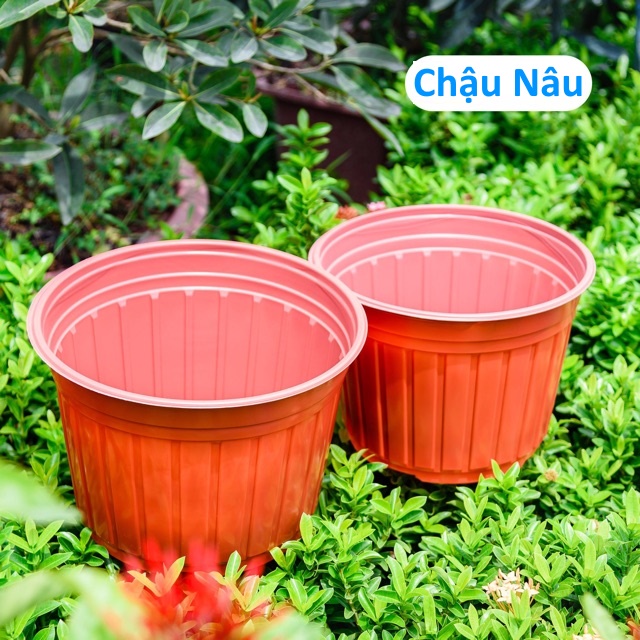 5 Chậu Nhựa Trồng Cây Cao Cấp (20x15cm), Chậu Nâu N20 bầu ươm cây giống, hoa kiểng