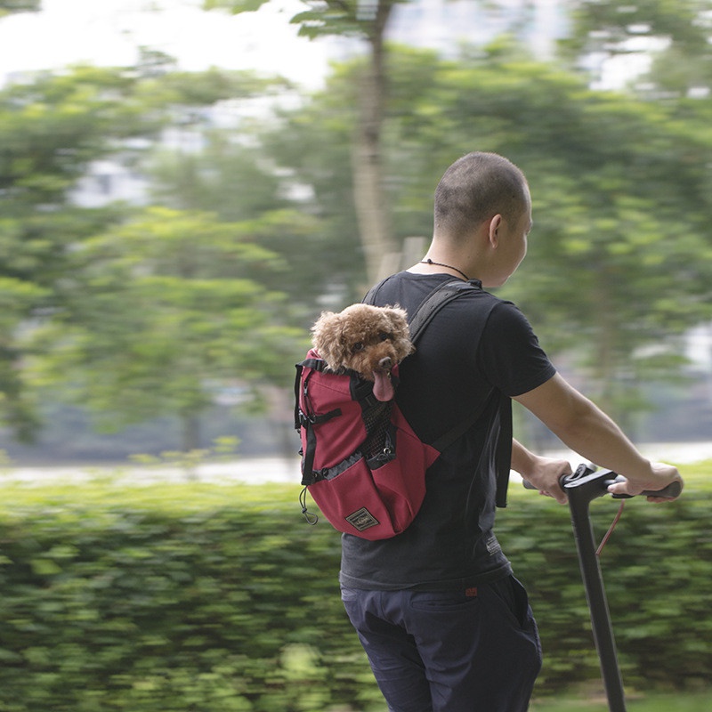 Ba Lô Du Lịch Thoáng Khí Cho Thú Cưng