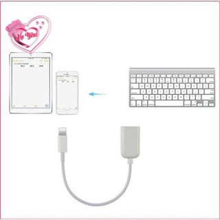 Cáp OTG dành cho iPhone - iPad cổng Lightning