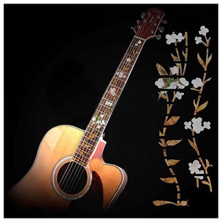 Miếng dán trang trí đàn Guitar hình hoa và chim