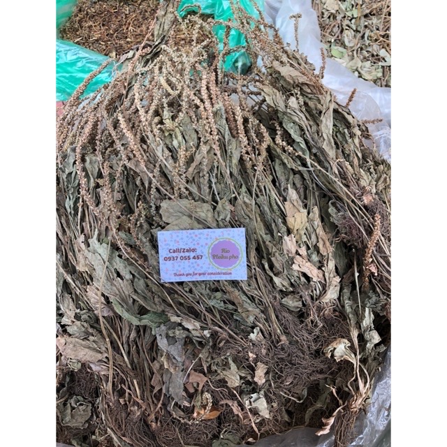 Bông Mã đề khô - hàng loại 1 cao cấp 1 kg