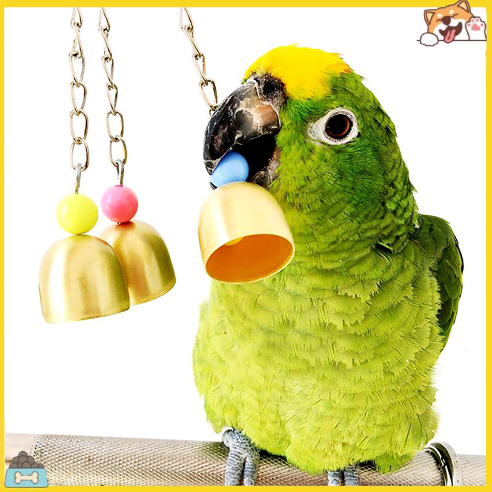Móc khóa đồ chơi gắn chuông nhiều màu cho vẹt