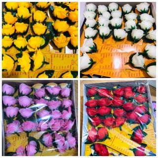 HỘP 50 BÔNG HOA VU LAN CÀI ÁO ( CÓ CHỌN MÀU)