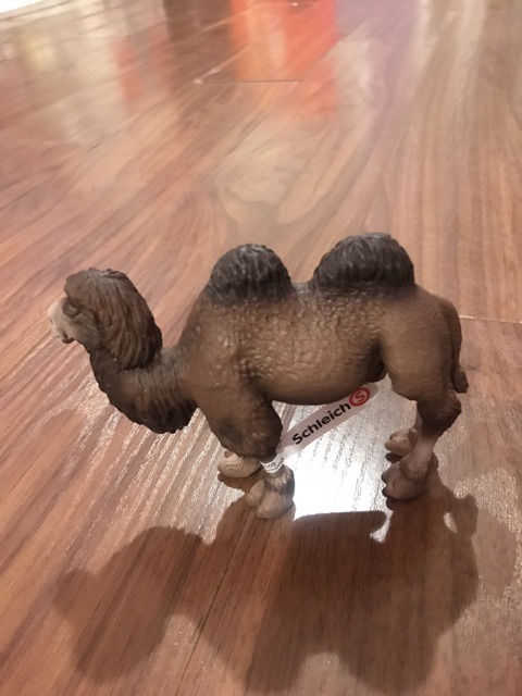 Schleich 14348 Lạc Đà Hai Bướu