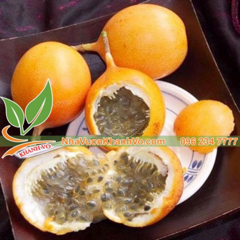 Cây chanh leo ngọt colobia