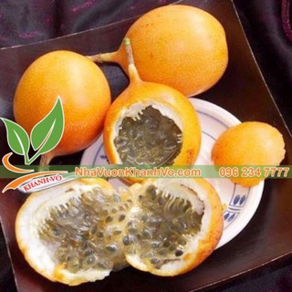 Cây chanh leo ngọt colobia