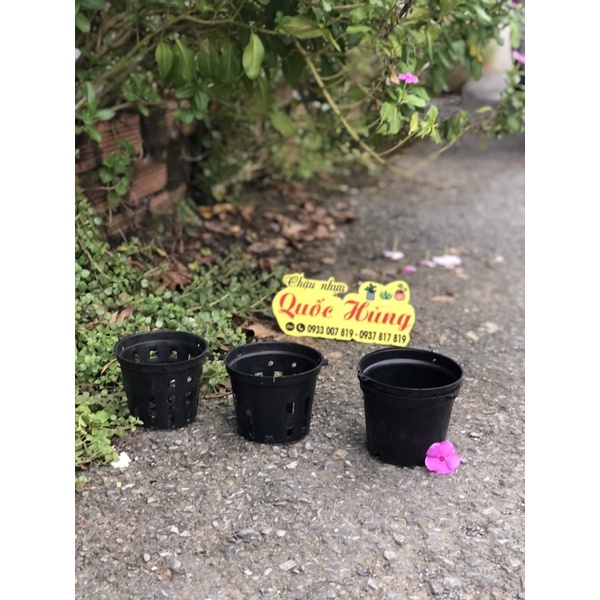Chậu trồng lan Đen phi 12cm/14cm/16cm/18cm/21cm