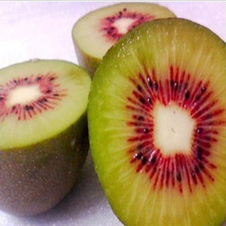 Hạt giống kiwi lùn