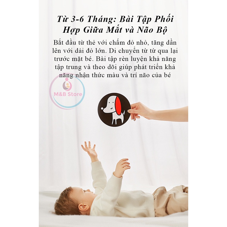 Bộ Thẻ Phát Triển Thị Giác, Nhận Thức và Não Bộ Cho Bé 0-36m - KUB