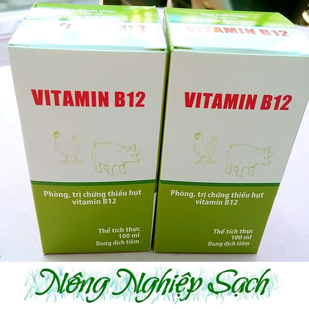 Vitamin B12 - Giải độc phân thuốc cho cây chai 100ml