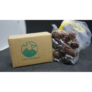Trái bồ hòn - trường sơn xanh